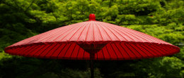 Red Umbrella