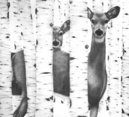 Doe and Yearling, 1992