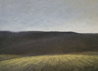 Morning Shadows, 2024