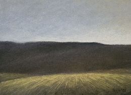 Morning Shadows, 2024