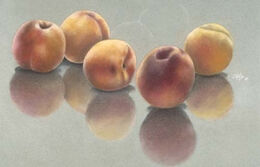 Still Life With Peaches, 1979