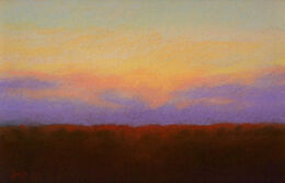 Santa Fe Study, 2007