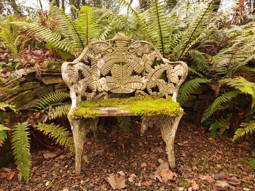 Stumpery Fern Collection. 7 ferns €27.00
