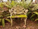Stumpery Fern Collection. 7 ferns €27.00