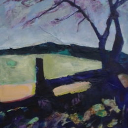 Dartmoor Shade