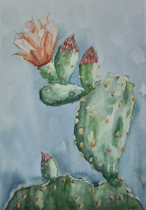 Cactus