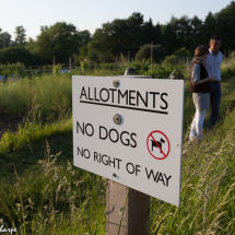 Bladon allotments