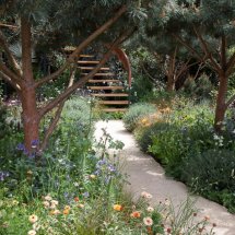 The beauty of mathematics