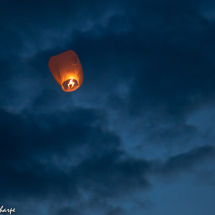 Chinese lantern