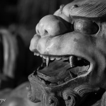 Foo dog