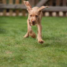 Cleared for take-off