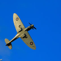 Spitfire on blue