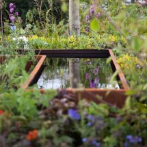 Reflections in a rusty pond