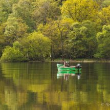 Reflection on fishing