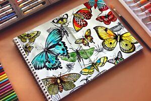 Butterflies