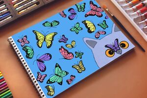 Catterfly