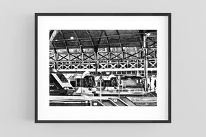 Paddington Open Edition Print