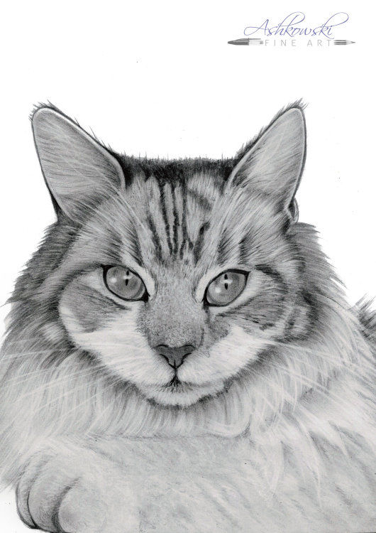 Sylvie