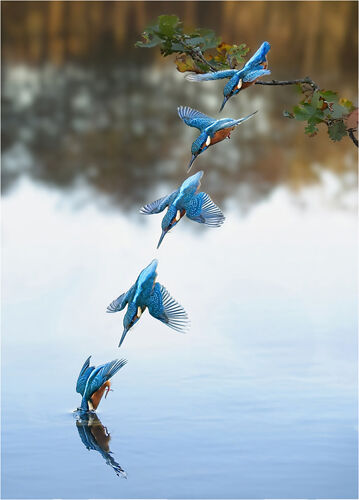 1st Pete Richardson The Dive