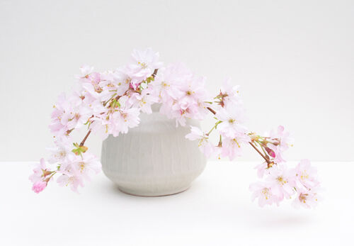 2nd Carol Burton Spring Blossom