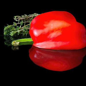 3rd Pete Richardson Reflected Pepper