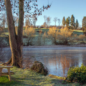 Carol Burton A Cold January Day