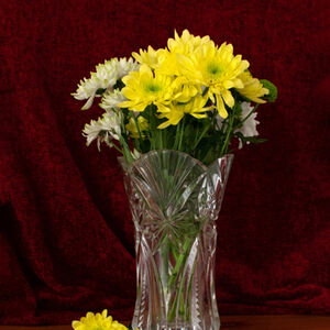 Carol Burton Chrysanthemums