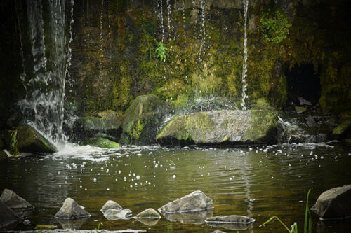 Carol Burton Fairy Pool
