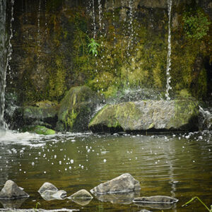 Carol Burton Fairy Pool