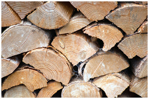 Carol Burton The Wood Pile