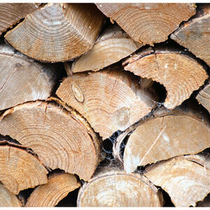 Carol Burton The Wood Pile
