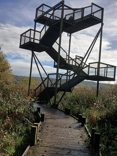 Denise Simpsons Stairway To Heaven