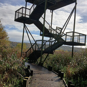 Denise Simpsons Stairway To Heaven