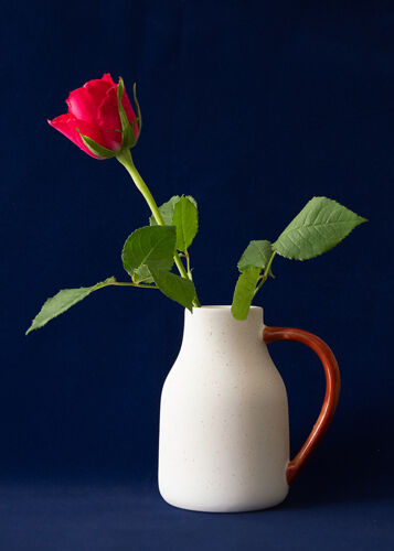 HC Alan Harris Red Rose