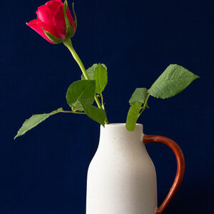 HC Alan Harris Red Rose