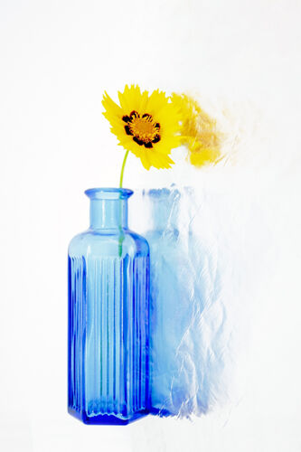 HC Carol Burton Reflection