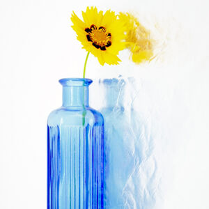 HC Carol Burton Reflection