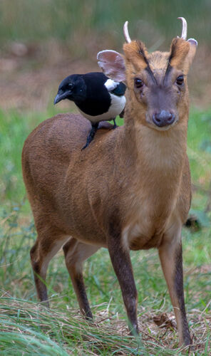 Jamie Humphrey Catching A Ride
