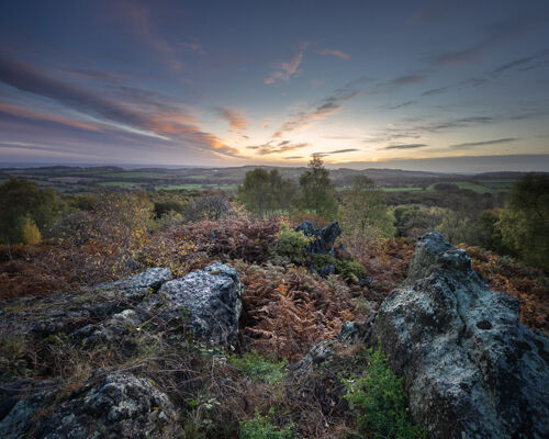 Mick Jelly Autumn Dawn