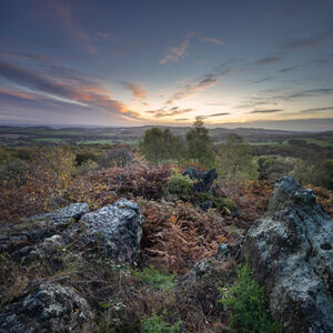 Mick Jelly Autumn Dawn