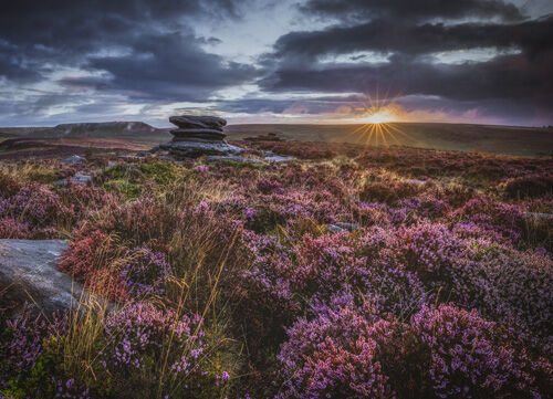 Mick Jelly First Light