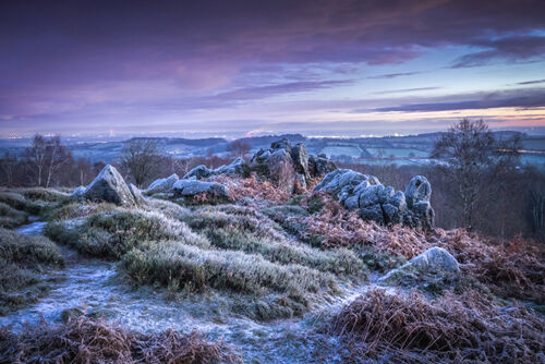 Mick Jelly Frosty Dawn