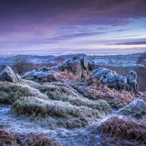 Mick Jelly Frosty Dawn