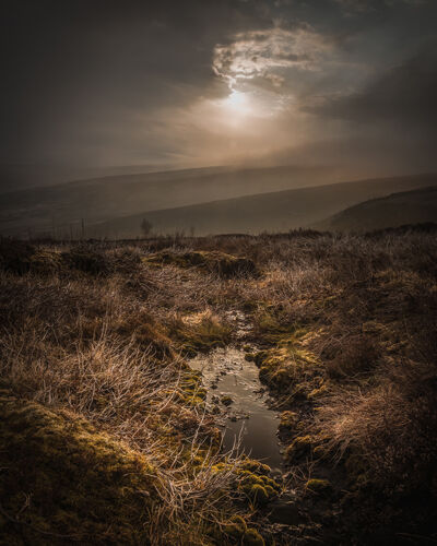 Mick Jelly Moorland Light