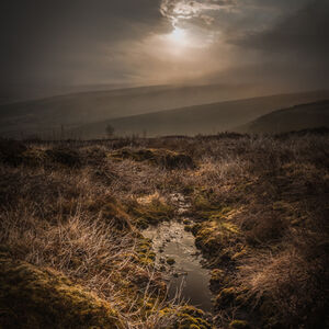 Mick Jelly Moorland Light
