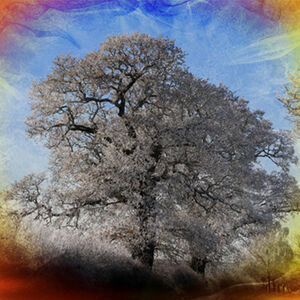 Pete Lowe Frosted Tree