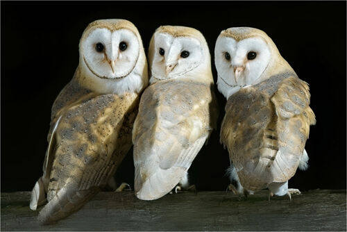 Pete Richardson Family Portrait