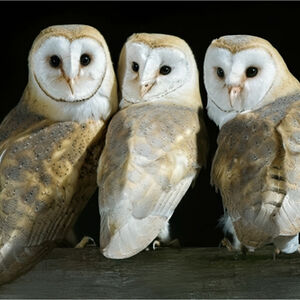 Pete Richardson Family Portrait