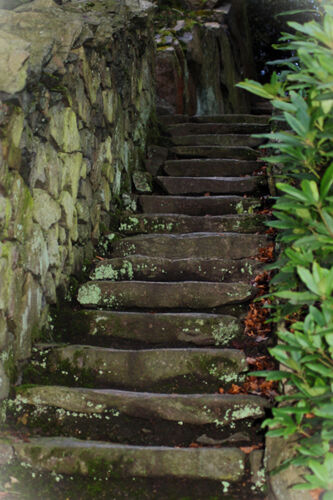 Rob Ward Up The Garden Pathway
