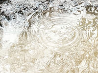 Puddles